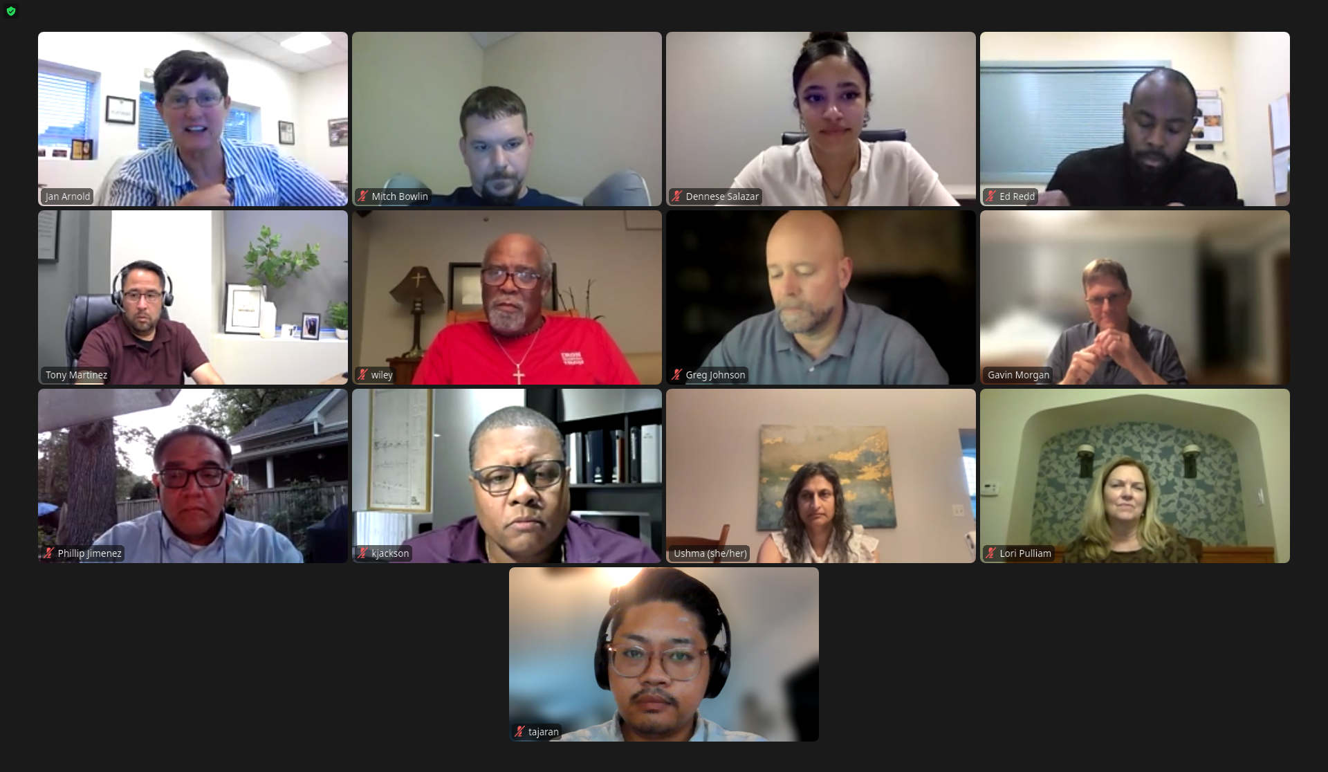 Screen cap of the Zoom call